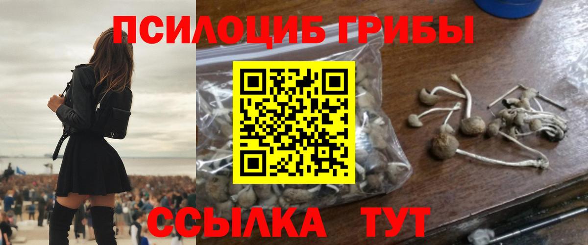 Галлюциногенные грибы ЛСД  Галлюциногенные грибы Psilocybe  Брянск  Вход с VPN 